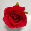 Cabeças de Flores de Rosa Flores Artificiais Decoração Flores Atacado Estilo Europeu Arco de Flores para Casamento Parede de Flores Cabeças de Flores Combinando 14 Cores Buquês de Flores Atacado