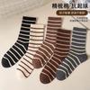 Calcetines Rayados Maillard para Mujer Tendencia Popular en Internet Calcetines de Algodón para Primavera y Otoño con Pantalones de Tiburón Calcetines Deportivos