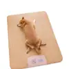 Camas para Gatos y Perros, Esterillas Refrigerantes de Verano para Mascotas, Camas para Perros, Suministros para Mascotas, Camas para Perros Pequeños y Medianos Teddy, Esterillas para Dormir