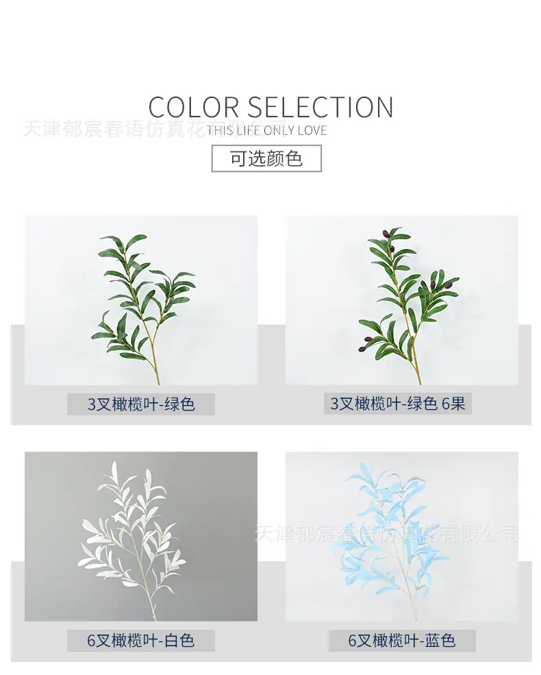 详情_04.jpg