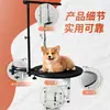 Mesa de peluquería para mascotas transfronteriza, mesa de peluquería para perros, mesa de recorte y manejo para gatos y perros, presión de aire ajustable, giratoria, redonda, plegable