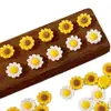 Nuevos Accesorios de Arte para Uñas de Girasol, Mini Girasoles y Margaritas de Moda, Decoraciones de Flores de Resina para Uñas DIY