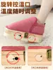 Zapatos de Moxibustión, Equipo de Moxibustión, Zapatos de Salud de Moxibustión, Compresa Caliente de Moxibustión, Caja de Moxibustión, Instrumento de Fumigación de Moxibustión, Zapatos de Moxibustión para Pies