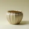 Porcelana Ruyao Tazón Original para Lavar el Té Cerámica de Alta Gama Recipiente para Té Seco Tarro para Residuos de Té Accesorios para Ceremonia del Té