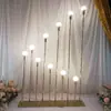 10 Focos Dorados de Bola de Dragón para Pasillo de Boda, Accesorios de Decoración de Boda, Focos de Caña, Marcadores de Pasillo, Marcadores de Pasillo para Escenario T