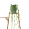 Flores Artificiales: Lágrimas de Amante, Flores de Plástico Suculentas, Flores Artificiales de Fabricantes para Decoración del Hogar, Ramos de Boda, Muros Verdes y Flores Falsas