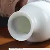 Adornos Cerámicos, Floreros, Arreglos Florales, Oficina Sala de Estar, Aparador de Vinos, Decoraciones para Mueble de TV, Artesanías de Estilo Chino*