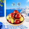 Jujubes de invierno Shaanxi Dali, entrega directa 2/ 1.5 kg Jujubes crujientes, dulces, frescos, tamaño mediano-grande, caja de regalo colorida, entrega directa desde el huerto, fruta fresca
