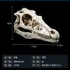Craneo de Animal Cráneo Modelo de Investigación Científica para Estudiantes Muestra de Espécimen Doble Corona Cráneo de Dinosaurio Cráneo de Resina