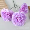 Peonía de la Fortuna Artificial de 3 Cabezas Estilo Monet Pared de Flores de Moda Sueño Dopamina Hortensia Salón de Bodas Flores Artificiales Mayoreo