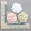 Acessórios de resina: Camélia, Peônia, Flor de Sapato, Flor de Rosa em Tamanhos Grande, Médio e Pequeno, Materiais para Capa de Celular e Acessórios de Cabelo DIY