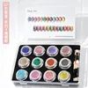 Set de Polvo Espejo de 12 Colores para Uñas Aurora Mirror Powder Polvo Metálico Electroplateado Polvo Dorado de Titanio con Carta de Colores Para Salones de Uñas