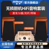 Máquina de vesícula biliar profesional Qisheng, sonido de alta fidelidad, combinación de amplificador de potencia de tubo electrónico, nivel de fiebre, estantería de escritorio, caja de subwoofer activo