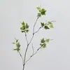 Planta Pequeña Artificial Estilo Zen Verde con Hojas de Camote de Plástico para Decoración de Interior de Sala de Estar, Adorno de Flor Artificial, Diseño de Línea de Hiedra