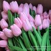 Decoração de Flor Artificial Tulipa de PU, Toque Realista, Flor Falsa de Haste Única Material DIY, Arranjo Floral, Flores Atacado Transfronteiriço