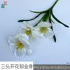 Tulipa Florida de Três Flores e Duas Hastes Tulipa Florindo com Cinco Flores Decoração para Sala de Estar de Casa Flor Artificial Flor para Arranjo de Casamento Flor de Seda