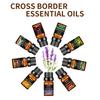 Óleo Essencial de Aromaterapia Desodorizante Transfronteiriço 10ml Máquina de Aromaterapia para Interior Fragrância Duradoura Óleo Essencial de Lavanda para Massagem