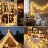 Luces LED de cadena de cuentas de frutos rojos transfronterizas, luces decorativas de cuerda de cáñamo con enredadera de hojas verdes, tiras de luces decorativas para árbol de Navidad