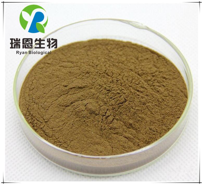 3807005974_422263485_副本