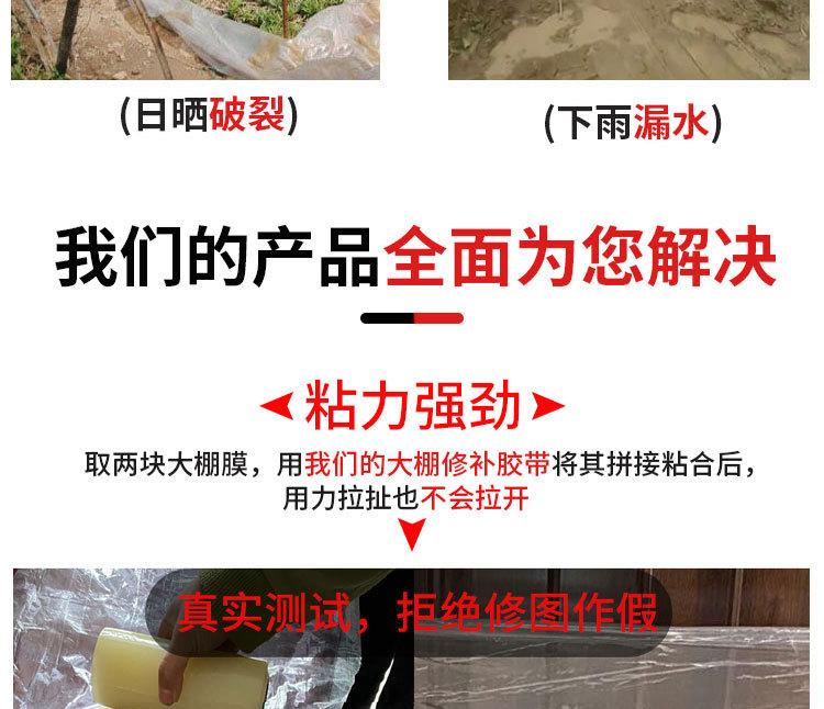 10米_04.jpg