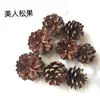 Envío Gratis 30 Piñas Flores Secas Decorativas Hecho a Mano Paquete de Materiales Creativos DIY Decoración del Hogar Ramas Secas Piñas Escama de Pez