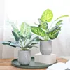 Lujo Ligero Estilo Escandinavo Planta Potos Simulada Bonsái Flores Artificiales Adornos Hoja de Tortuga Maceta Mesa Decoraciones de Flores Falsas