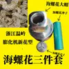 Extrusora tipo B007 fábrica original boquilla grande de 1.3, boquilla grande Yueyayuan, boquilla grande de 1.0, núcleo del molde