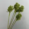 Flor artificial, 3 bolas de cebolla, flor falsa, decoración del hogar, diente de león, fruta, planta de interior, material para arreglos florales, plástico, frijol adzuki, fruta