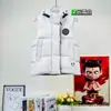 Chaleco acolchado con capucha para otoño e invierno, talla grande, transfronterizo, para hombre y mujer, chaqueta sin mangas holgada y mullida, disponible en varios colores para capas