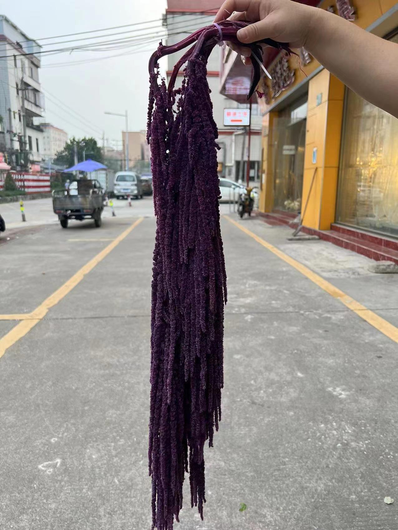 微信图片_20221127133552