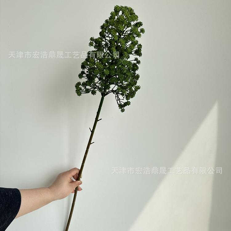 微信图片_2023040214504518_副本