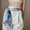 Cinturón de bufanda larga y fina de seda para mujer, versátil y elegante, estilo fino para primavera y otoño, adecuado para combinar con camisas, cinta estilo francés
