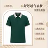 Roupa de trabalho para catering, camisa POLO, manga curta, verão, para funcionários de restaurantes de fast food e hot pot, respirável, fina, com logotipo estampado