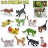 Simulación transfronteriza Fauna silvestre modelo de granja de insectos marinos dinosaurio juego de juguetes para niños Venta al por mayor