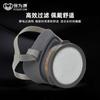 Baoweikang 3600 tipo de filtro máscara de gás spray tinta anti-pintura formaldeído gás químico 3200 máscara de gás
