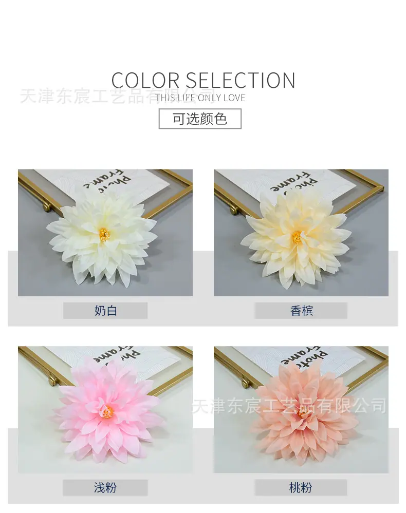 详情_02.jpg