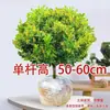 Planta de Gardênia Milanês em Vaso Grande, Fácil de Cuidar, Planta de Jardim Perfumada, Planta Verde com Fragrância Forte, Floresce com Botões de Flor