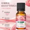 Han Ji Damasco Aceite Esencial Orgánico de Rosa Hidratante Reafirmante Antiarrugas Calmante Masaje Facial Corporal Aceite Esencial Vegetal