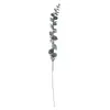 Cortes de Eucalipto White Frost Pendurados Gelo Artificial Folhas de Eucalipto Artificiais Galhos de Eucalipto Artificiais para Pendurar na Parede Decoração de Parede Folhas Fazenda