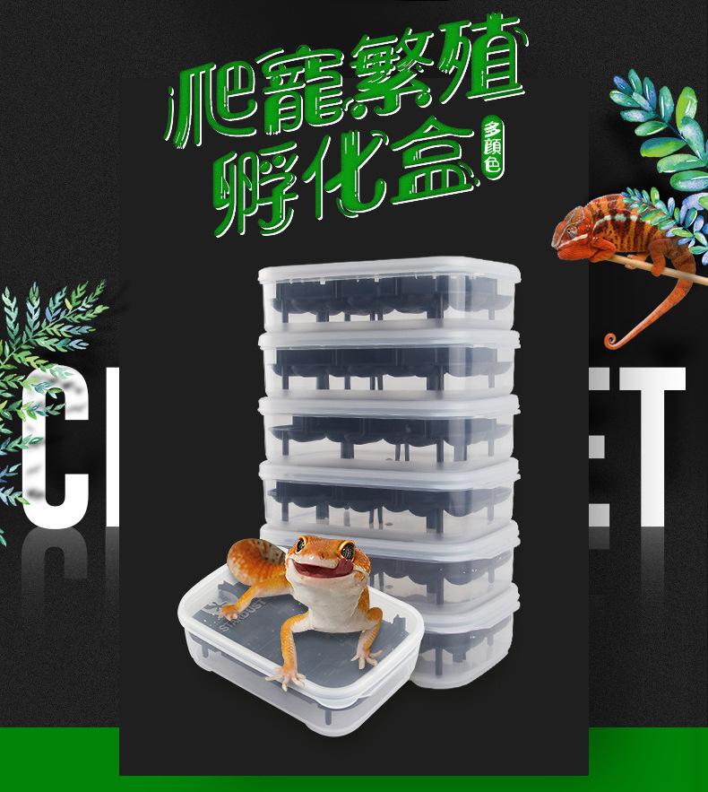 详情页_02.jpg?x-oss-process=image/format,png