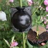 Aparelho de propagação de plantas, enraizamento, aparelho de calcanhar controlado por alta pressão, germinação de mudas, corte, enxerto, ferramentas de bonsai, prensa de alta altitude, ramo assexuado