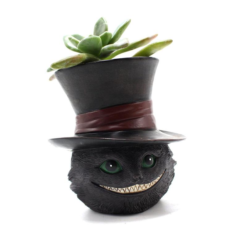 猫 (8)