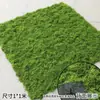 Simulación de musgo, musgo falso, fondo de planta, decoración de pared, planta verde, micropaisaje, césped flocado, simulación de musgo verde