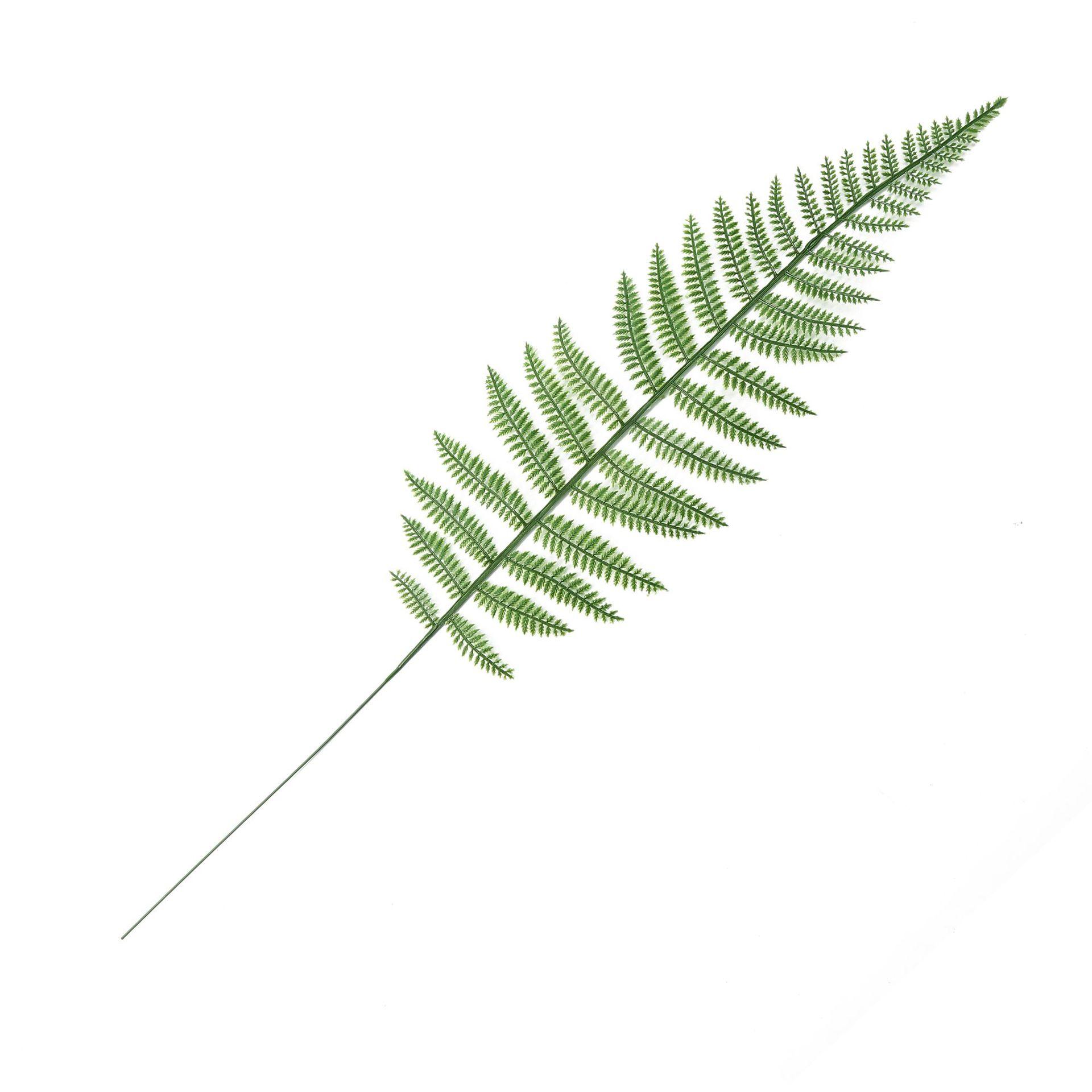 DA0A4791.JPG