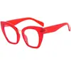 395 gafas de nuevo estilo personalizadas de moda ojo de gato lente plana para hombre y mujer anti-luz azul marco completo de PC gafas de exportación europeas y americanas