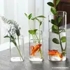 Jarrón Recto de Vidrio de Borosilicato Recipiente para Liberación de Plantas Acuáticas Tanque Pequeño para Plantas Verdes y Peces Arreglo Floral Contenedor Paisaje Hidropónico Jarrón de Vidrio
