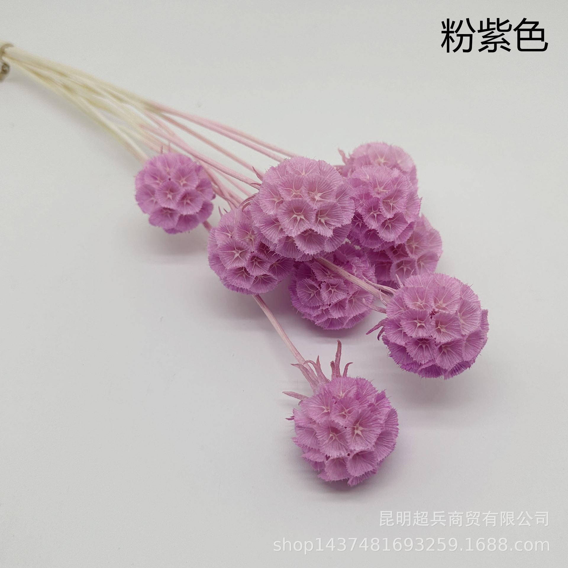 12粉紫色.jpg