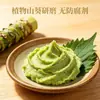Salsa Wasabi, Auténtica Pasta de Rábano Picante Verde Wasabi, Salsa Condimento Especial para Cocina Japonesa, Sushi, Salmón y Sashimi, Uso Comercial