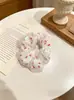 Rabo de Cavalo Brilhante Arco-Íris Elástico de Cabelo Intestino Grosso Feminino Transfronteiriço Malha Dupla Camada Corda de Cabelo Acessórios de Cabelo Acessórios Fonte de Fábrica