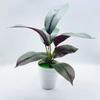 Planta Envasada Simulada, Bonsai de Flor Falsa, Bonsai de Planta Verde Simulada, Ornamento de Flor Artificial, Planta Envasada de Folha de Ficus Simulada 2022